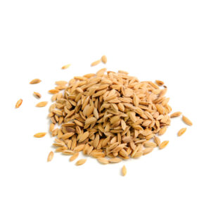 Canary Seeds
